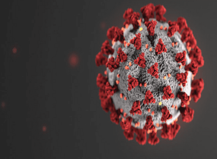Understanding Allergy Clearing the Air With Air Filters for Your Health